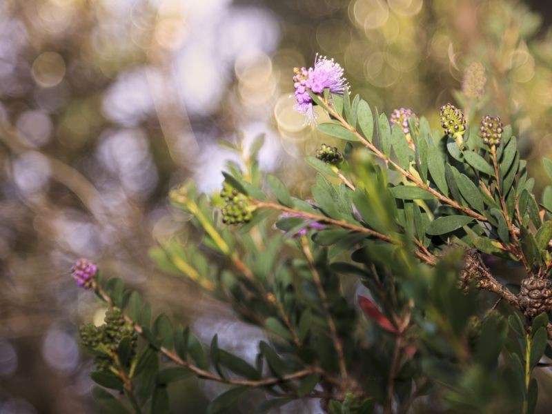 West Hobart TAS 7000