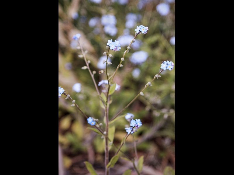 West Hobart TAS 7000