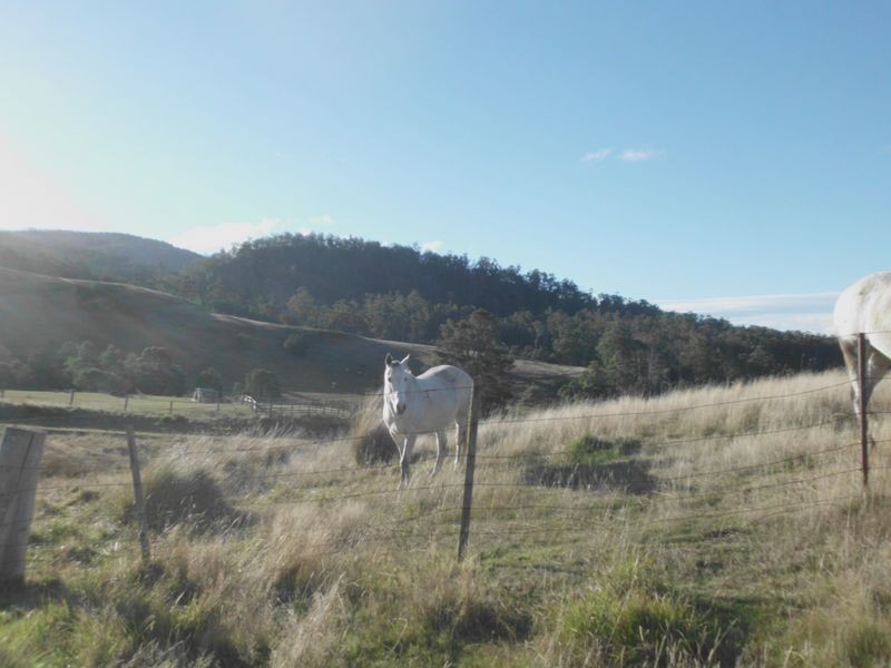 391 Springhill Bottom Road, Colebrook TAS 7027