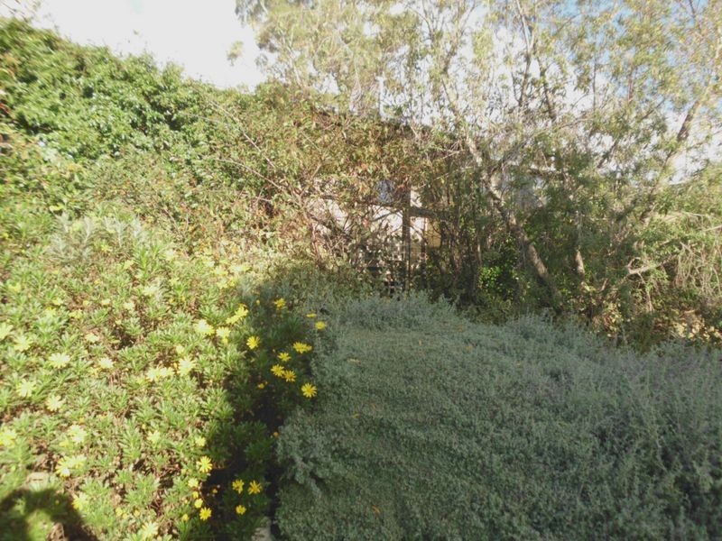 391 Springhill Bottom Road, Colebrook TAS 7027