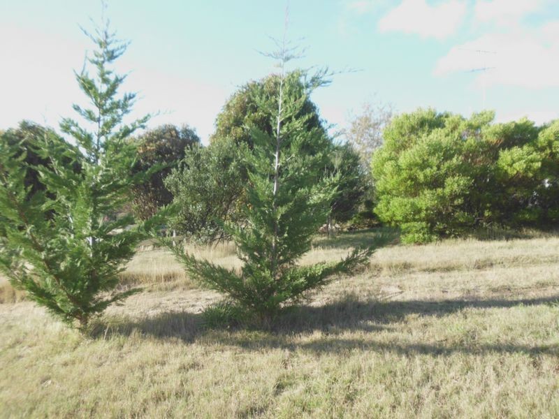 391 Springhill Bottom Road, Colebrook TAS 7027