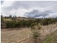 31 Braeview Drive, Old Beach TAS 7017