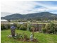 3 Sadri Court, New Norfolk TAS 7140