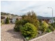 3 Sadri Court, New Norfolk TAS 7140