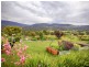 40 Menzies Road, Lachlan TAS 7140