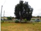 167 Carlton Beach Road, Carlton TAS 7173