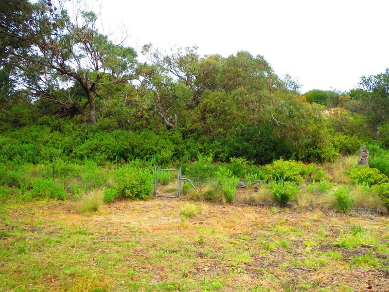 167 Carlton Beach Road, Carlton TAS 7173