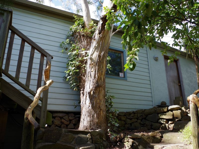 65 Olinda Grove, Mount Nelson TAS 7007