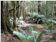 Lot 2 Pillinger, Queenstown TAS 7467