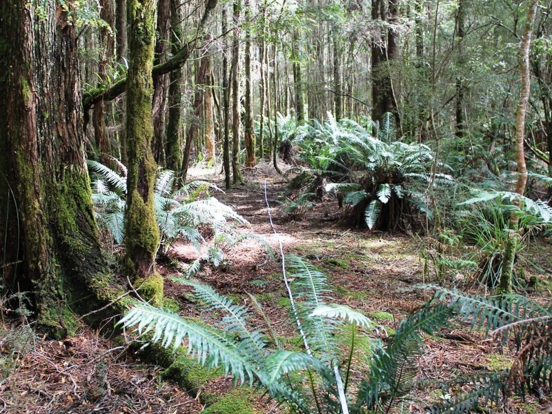 Lot 2 Pillinger, Queenstown TAS 7467