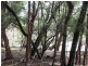 Lot 2 Pillinger, Queenstown TAS 7467