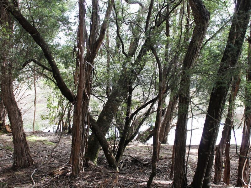Lot 2 Pillinger, Queenstown TAS 7467