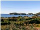 42 Penzance Road, Eaglehawk Neck TAS 7179