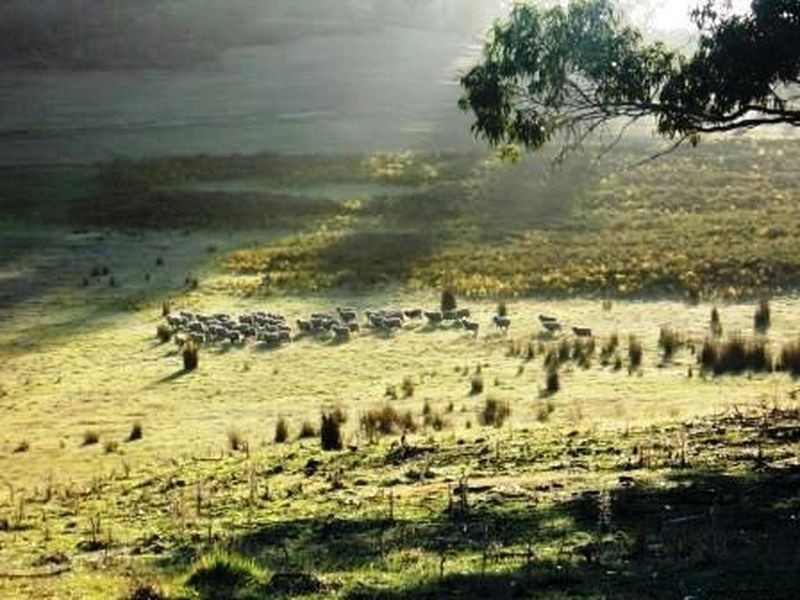 849 Native Corners Road, Campania TAS 7026