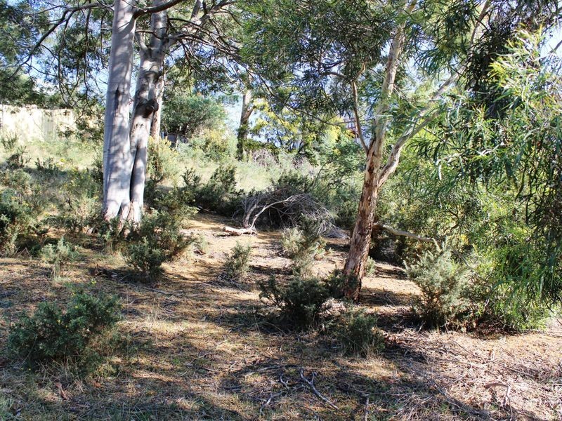 4 Woodlyn Court, South Hobart TAS 7004