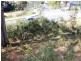 4 Woodlyn Court, South Hobart TAS 7004
