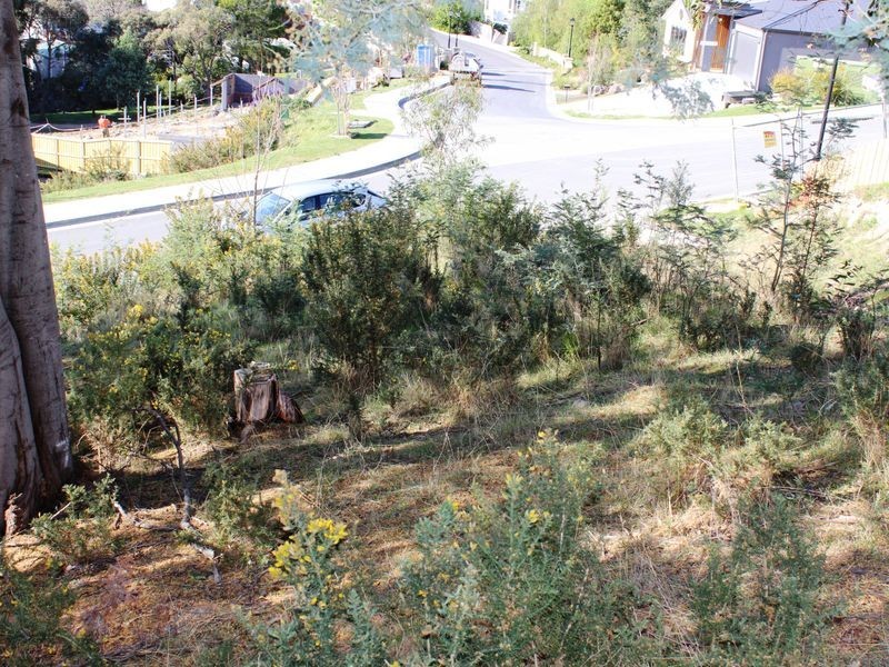 4 Woodlyn Court, South Hobart TAS 7004
