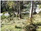 4 Woodlyn Court, South Hobart TAS 7004