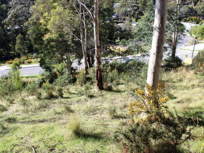 4 Woodlyn Court, South Hobart TAS 7004