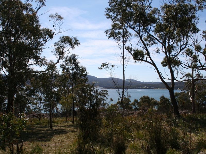 Lot 57 White Beach Road, White Beach TAS 7184