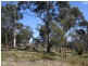 Lot 57 White Beach Road, White Beach TAS 7184