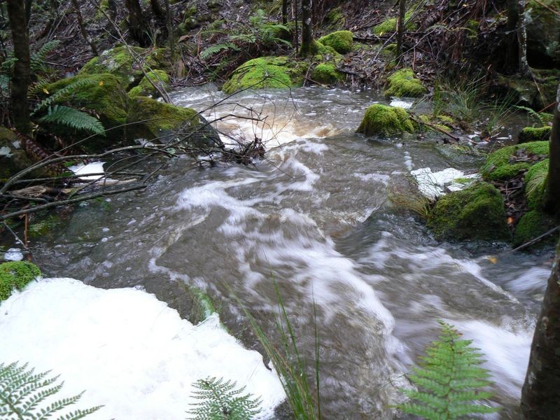 770 Quoin Road, Colebrook TAS 7027