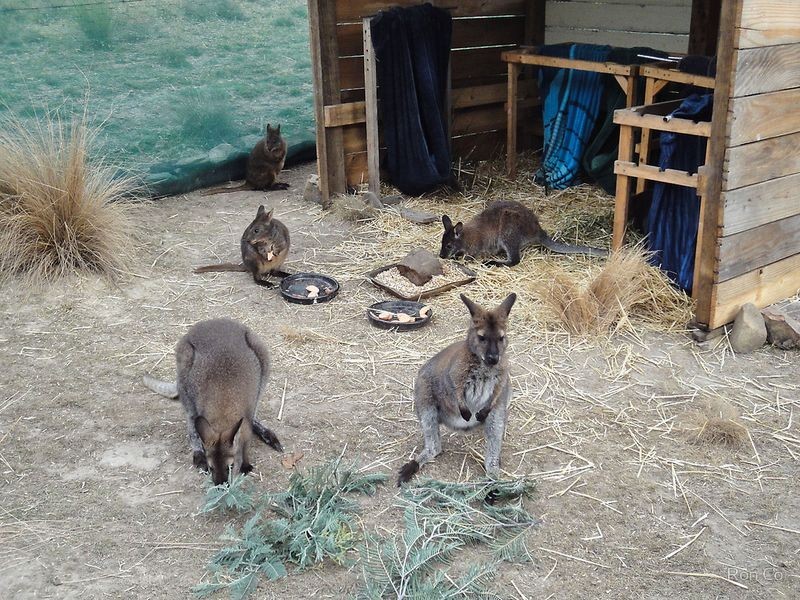 770 Quoin Road, Colebrook TAS 7027