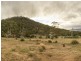 Molesworth TAS 7140