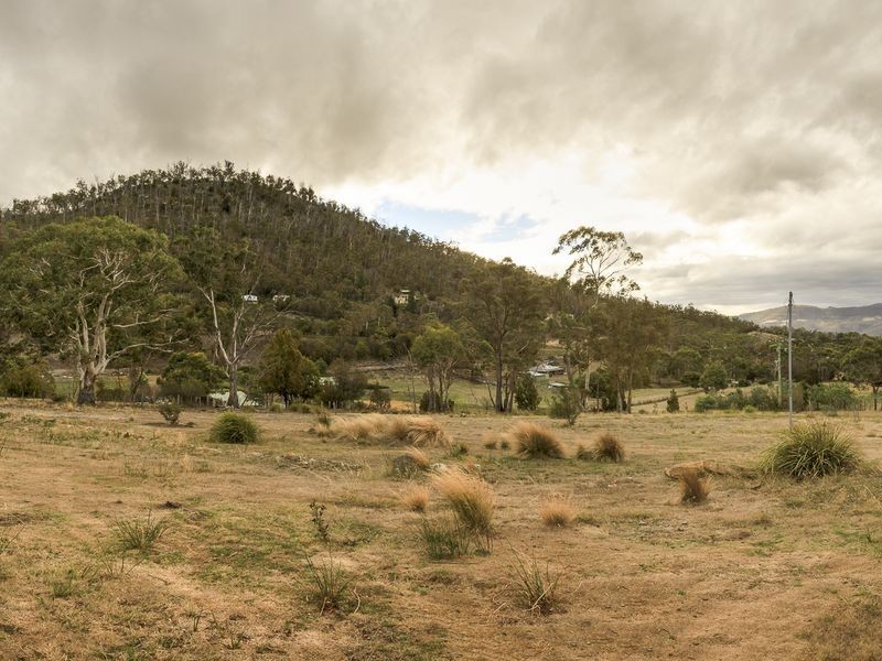Molesworth TAS 7140