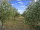 62 Greens Road, Orielton TAS 7172