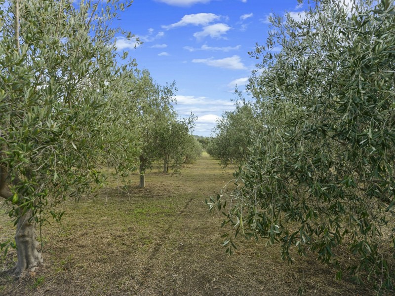 62 Greens Road, Orielton TAS 7172