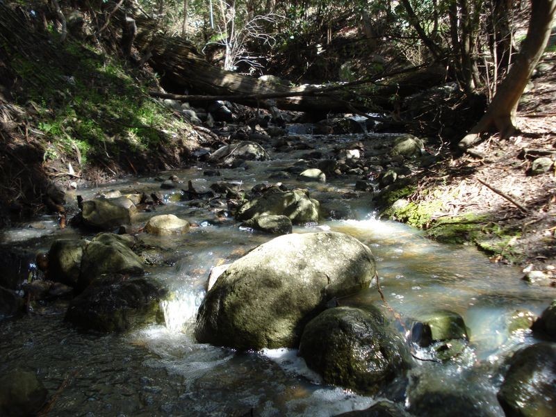 280 Montrose Road, Montrose TAS 7010