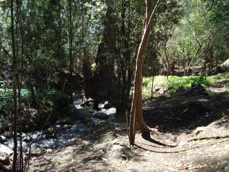 280 Montrose Road, Montrose TAS 7010