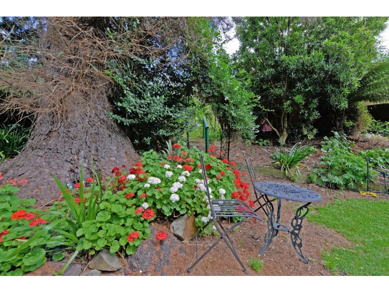 11 West Street, Maydena TAS 7140