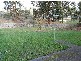 6 Newton Place, Bridgewater TAS 7030