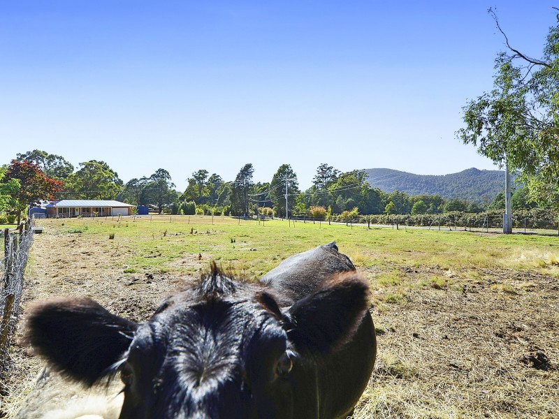 228 Springdale Road, Collinsvale TAS 7012