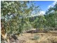 39 Tongatabu Road, Dromedary TAS 7030