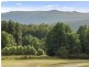 11 Hydro Street, Maydena TAS 7140