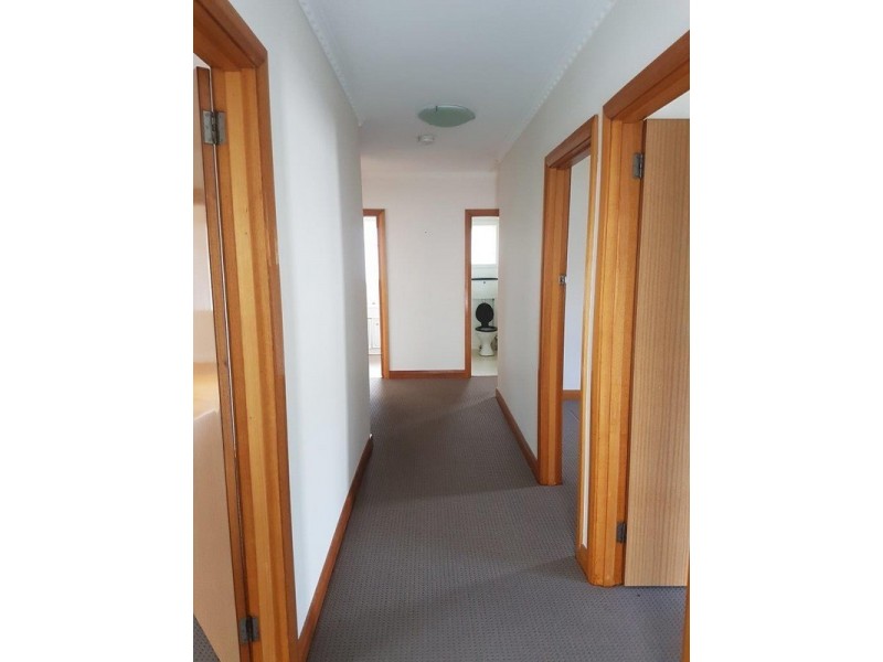 87 Springfield Avenue, Moonah TAS 7009