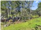 134 Fairy Glen Road, Collinsvale TAS 7012