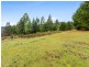 5 Park View Crescent, Maydena TAS 7140