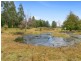5 Park View Crescent, Maydena TAS 7140