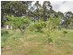 15 North Street, Port Arthur TAS 7182