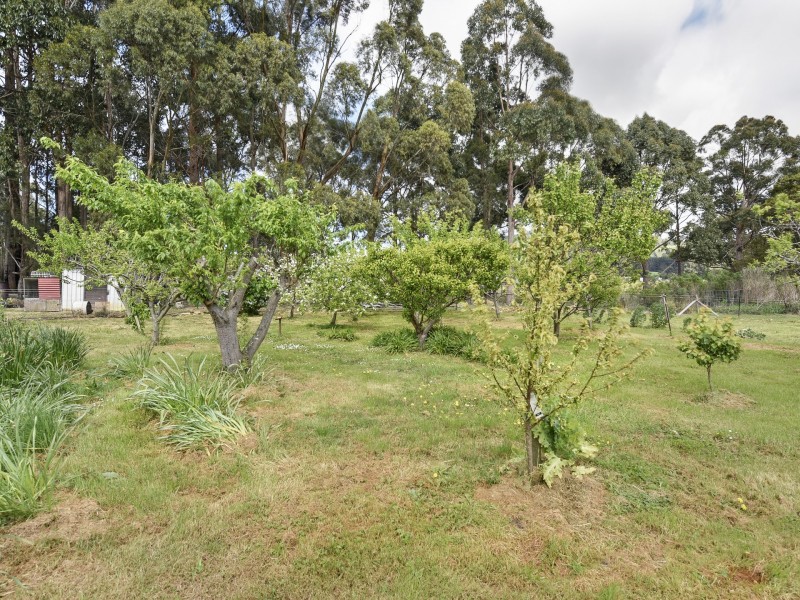 15 North Street, Port Arthur TAS 7182
