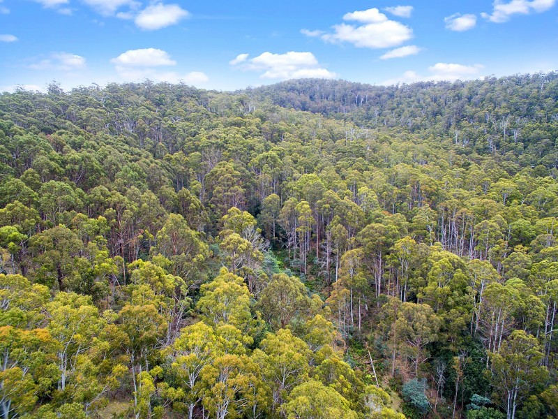 159341/1 Gordon River Road, National Park TAS 7140