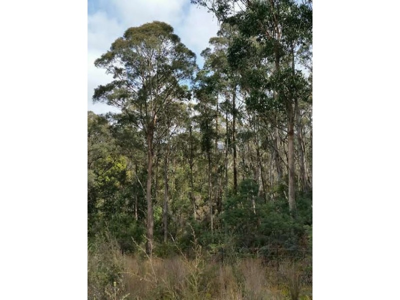 159341/1 Gordon River Road, National Park TAS 7140
