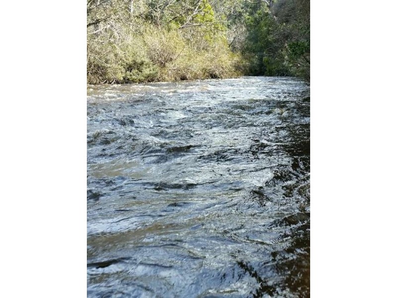 159341/2 Gordon River Road, National Park TAS 7140