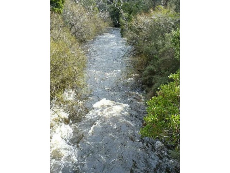 159341/2 Gordon River Road, National Park TAS 7140