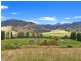 7 Moores Road, Lachlan TAS 7140