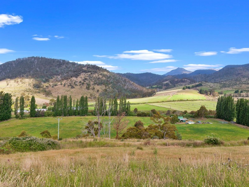 7 Moores Road, Lachlan TAS 7140